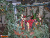 Presepe Portosalvo - Soverato
