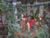 Presepe Portosalvo - Soverato