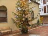Presepe Portosalvo - Soverato