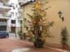 Presepe Portosalvo - Soverato