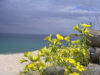 Primavera sul Lungomare di Soverato
