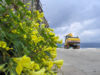 Primavera sul Lungomare di Soverato