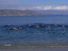 Bagno di Capodanno - Soverato