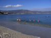 Bagno di Capodanno - Soverato