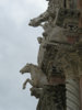 Duomo di Siena