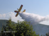 Canadair all'opera durante un incendio ad Argusto...