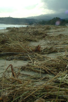 14/01/09 Mare di Soverato in burrasca